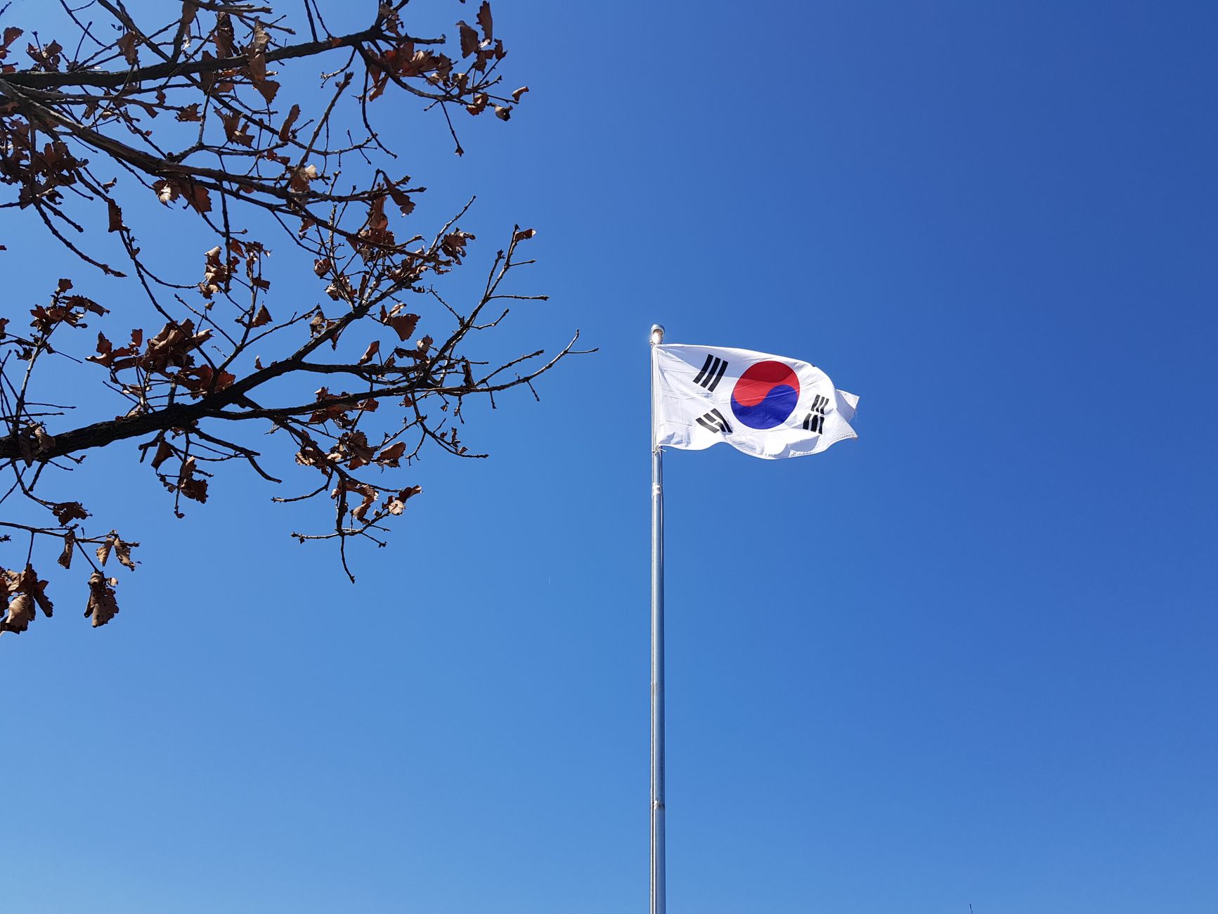 Drapeau de la Corée du Sud