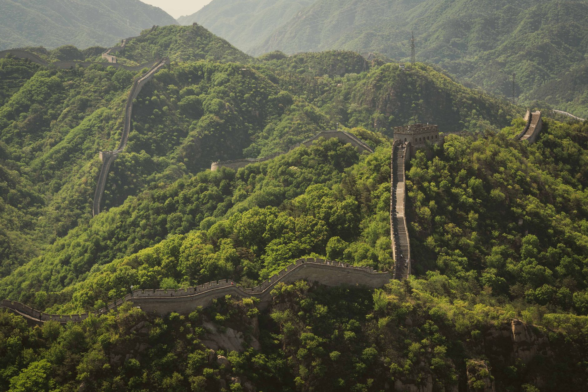 Vue aérienne de la Grande Muraille de Chine serpentant sur les collines verdoyantes