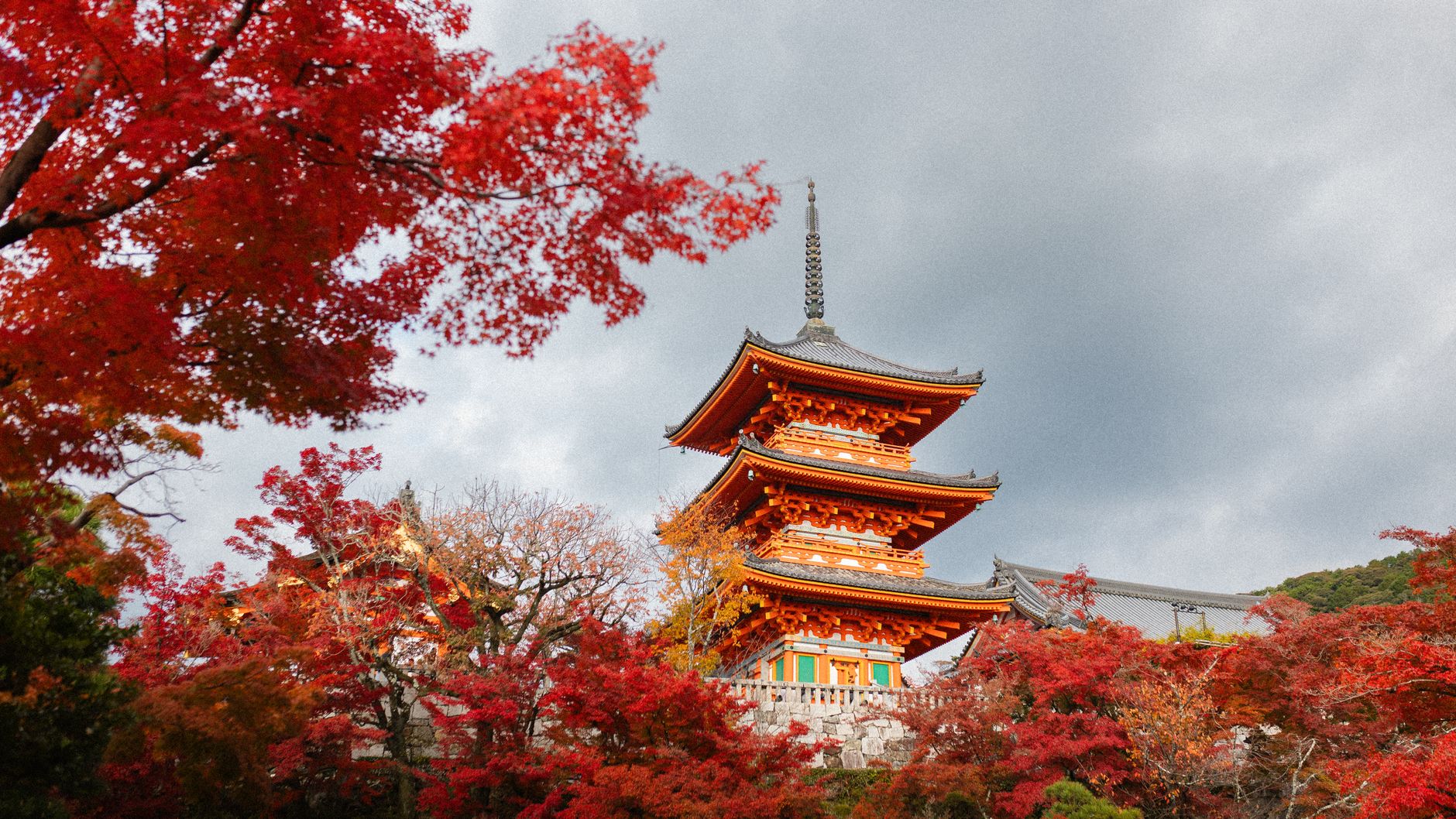 Temple Kiyomizu-dera entoure de feuillages d'automne a Kyoto