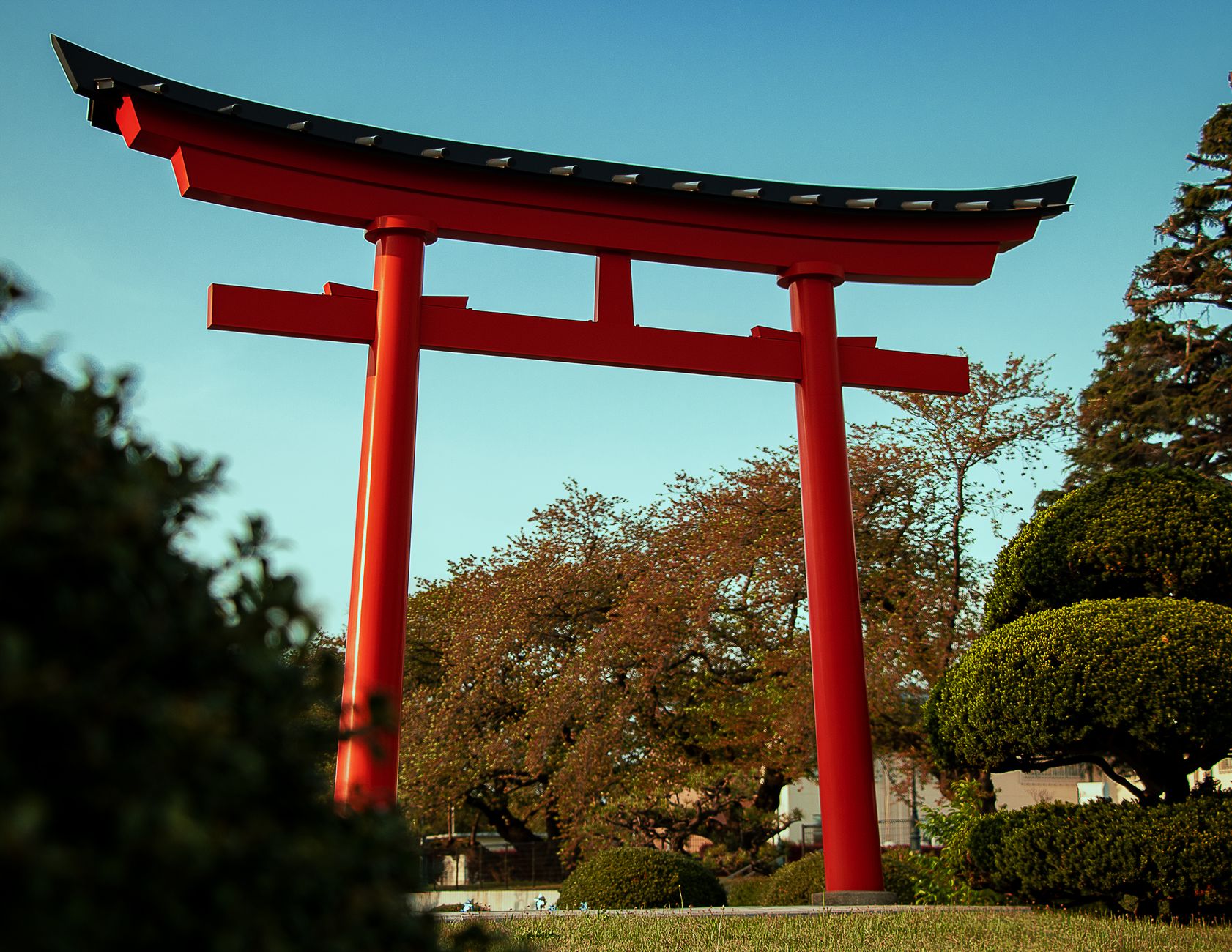 Torii vermillon à deux linteaux se détachant sur un ciel bleu, devant des arbres taillés