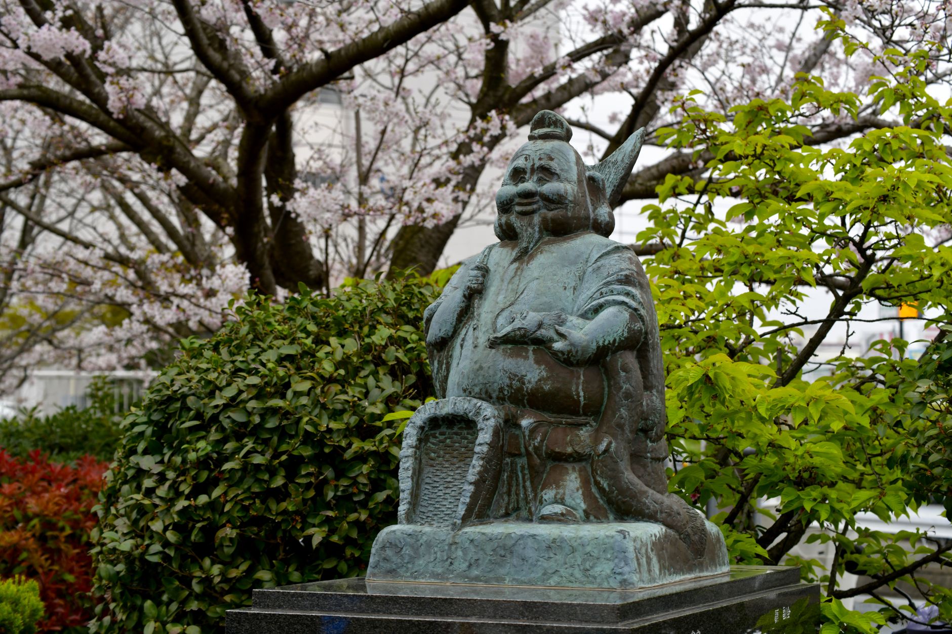Statue en bronze d'Ebisu assis, coiffe pointue repliée, poisson sous le bras et panier de pêche à ses pieds, devant des cerisiers en fleurs