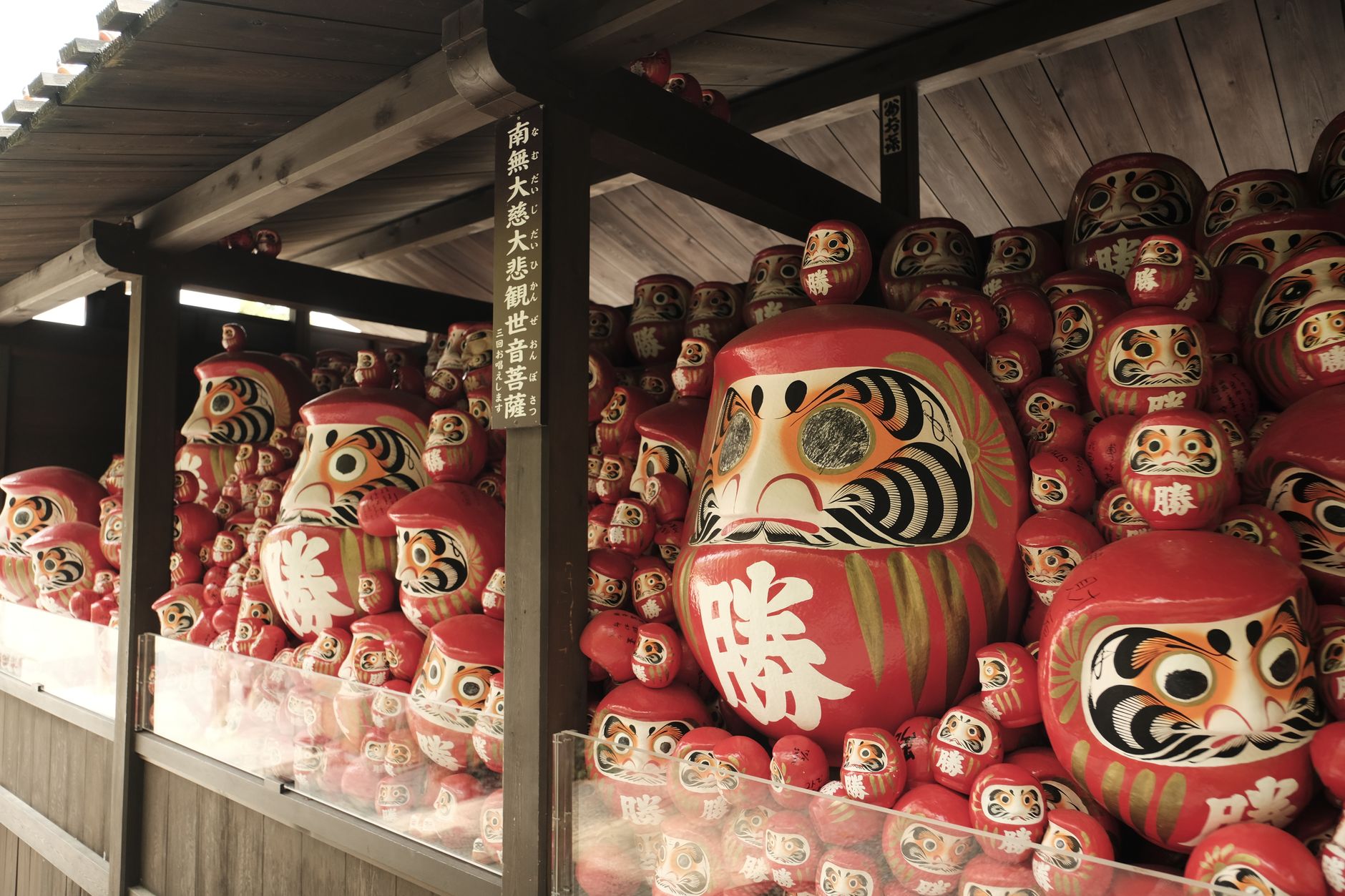 Daruma rouges de toutes tailles alignés sur des étagères sous un auvent en bois, le plus grand portant le kanji 勝 sur le ventre