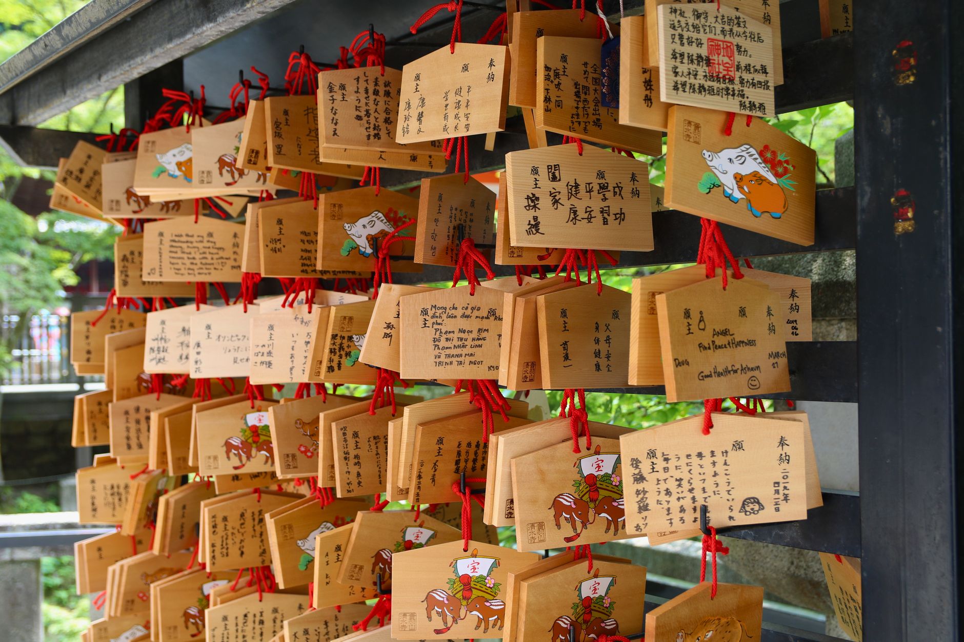 Rangées de plaques votives ema en bois suspendues dans l'enceinte d'un sanctuaire japonais
